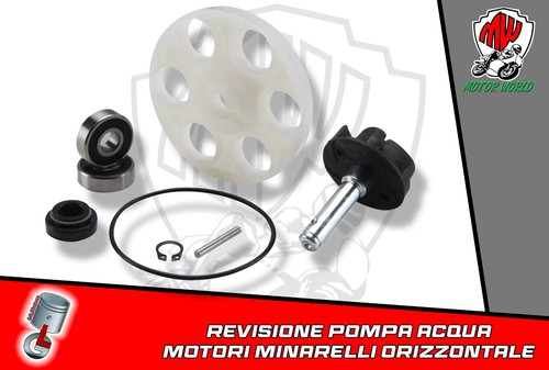 Kit revisione pompa acqua - pompa,