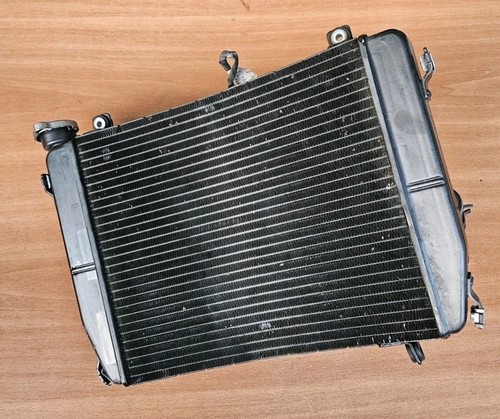 Radiatore acqua aprilia 660 - radiatore, rs